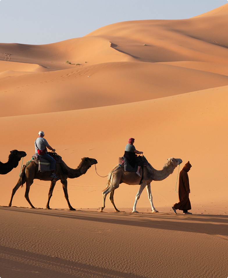 Camel caravan traversing Sahara dunes.