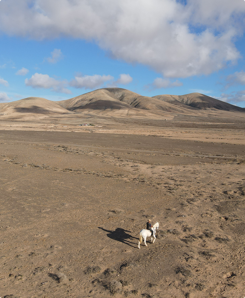 Rider on white horse traversing a desert landscape.