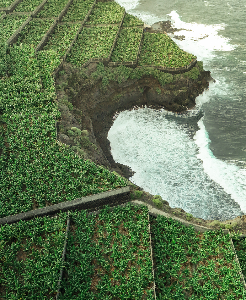 La Palma banana plantation coastline.