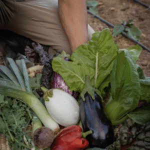 Organic Fruit & Vegetable Basket