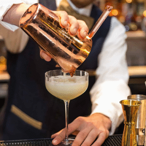 Professional Bartenders