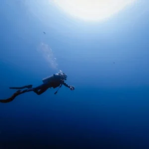 Diving in Fuerteventura – Lobos Island