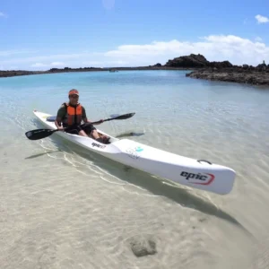 Kayak Tour to Lobos Island