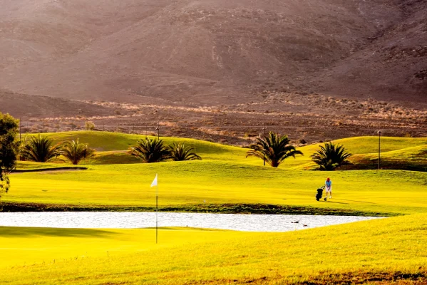 AdobeStock_310168250