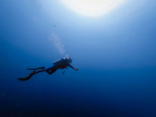 Diving in Fuerteventura – Lobos Island